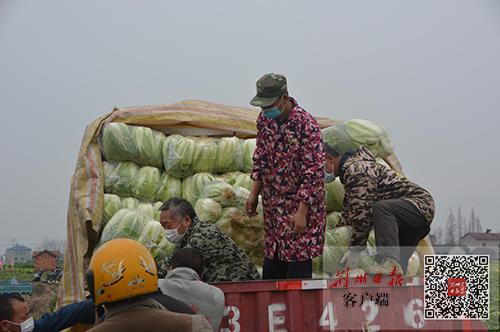 松滋司机最新招聘,松滋司机最新招聘，职业前景、要求与如何应聘