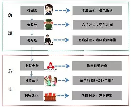 二四六期期准资料公开,二四六期期准资料公开，探索与启示