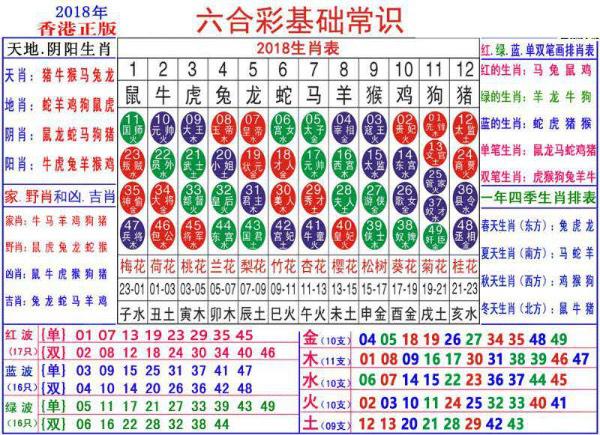 澳门正版资料大全资料生肖卡,澳门正版资料大全资料生肖卡，探索与解析