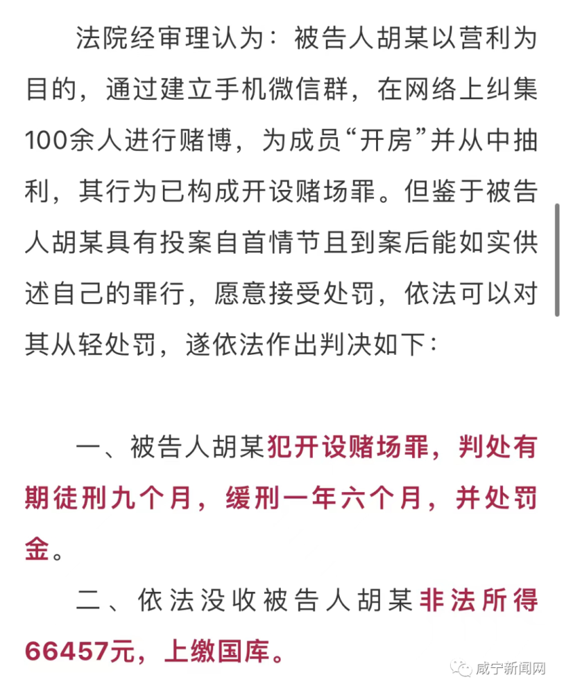 澳门一肖一码100准,澳门一肖一码100%准确预测的背后，犯罪与法律的对决