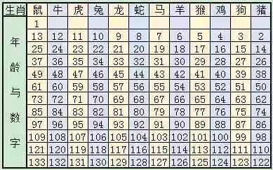 2025十二生肖49码表,揭秘，2025年十二生肖与49码表的不解之缘