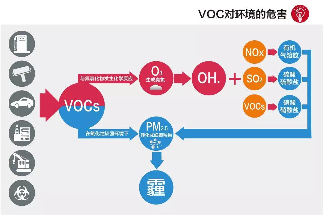 新澳特精准资料,新澳特精准资料，引领行业发展的数据力量