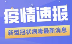 新澳精准正版资料免费119期 03-09-31-40-47-49Z：33,新澳精准正版资料免费分享，探索第119期的秘密与策略分析