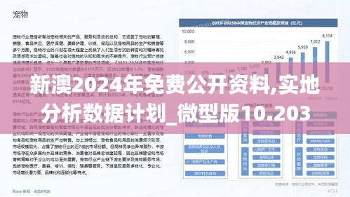 2025新澳兔费资料琴棋095期 06-19-32-45-46-48T：19,探索新澳琴棋资料，解析2025年琴棋系列第095期之免费资料研究