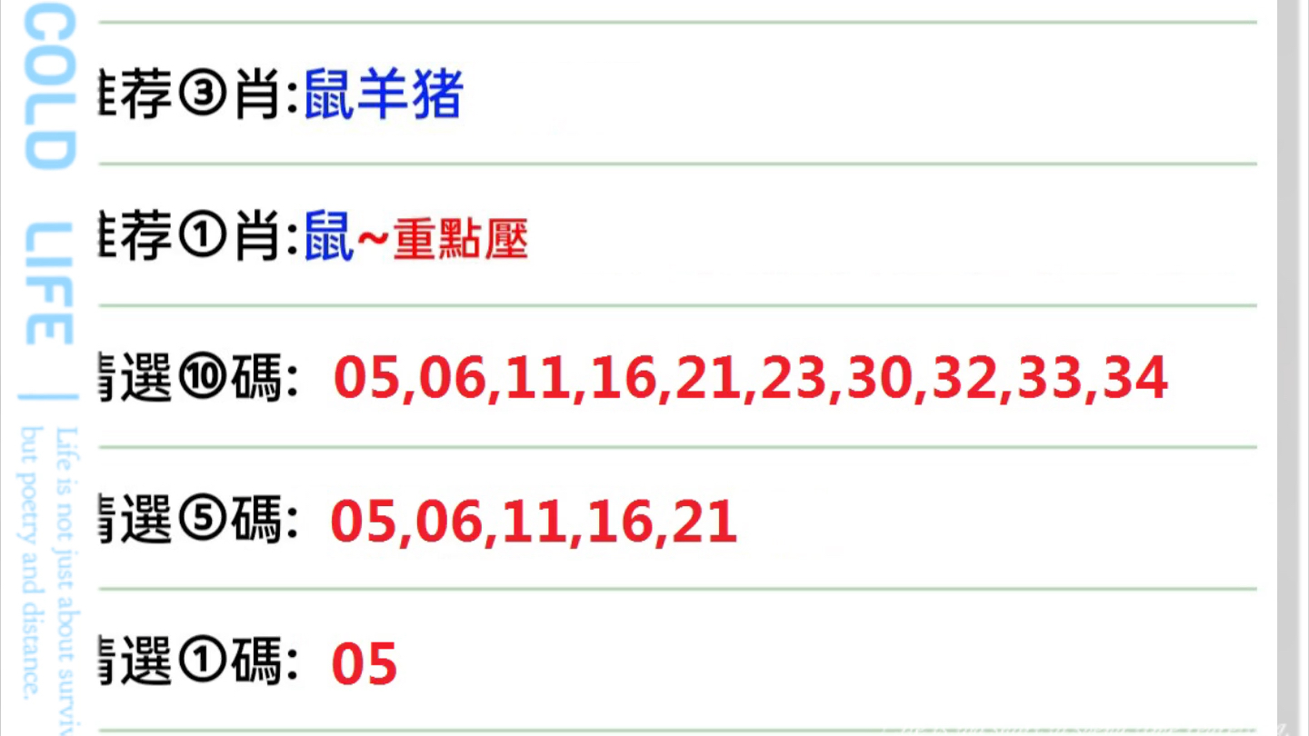 澳门六今晚开什么特马006期 02-31-25-40-05-28T：13,澳门六今晚开什么特马，深度解析与预测（第006期）