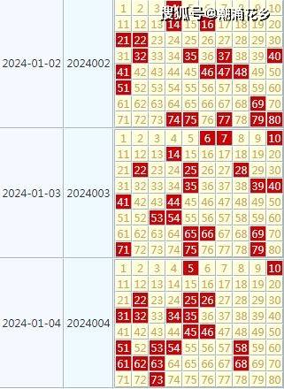 二四六香港天天开彩大全117期 07-13-17-23-43-46U：41,二四六香港天天开彩大全第117期详解，从数字中寻找幸运的秘密