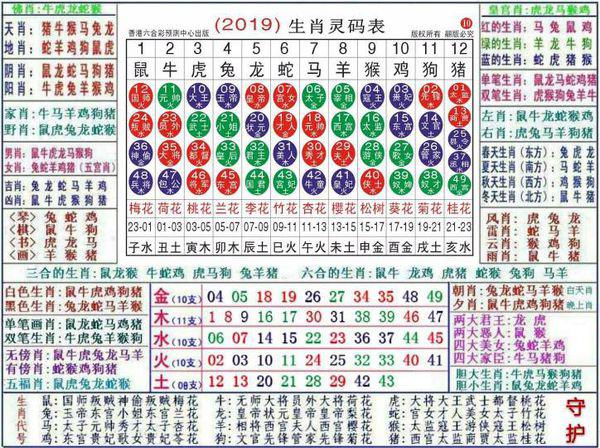 2024澳门正版资料大全资料生肖卡030期 07-15-30-31-33-36C：46,探索澳门正版资料大全——生肖卡与数字的秘密（第030期）